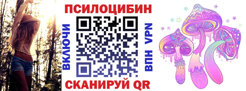 дарнет шоп  Шарыпово  Псилоцибиновые грибы MAGIC MUSHROOMS 