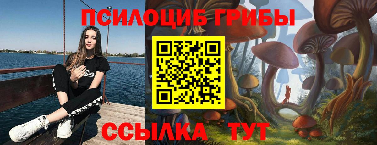 Шарыпово  Псилоцибиновые грибы GOLDEN TEACHER  Вход с VPN 
